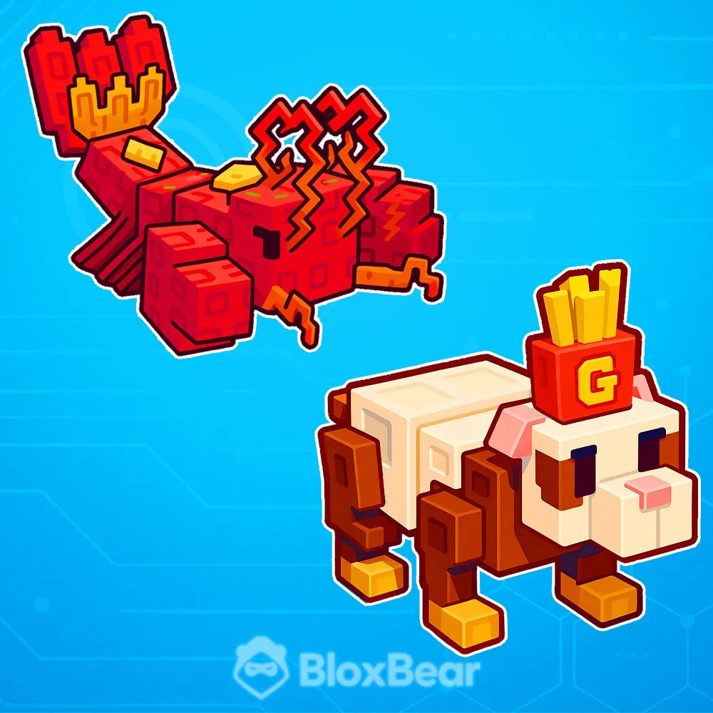 Cooking Bundle