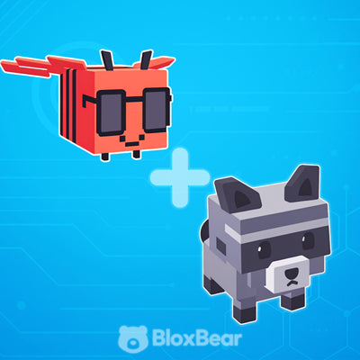 Beginner Bundle