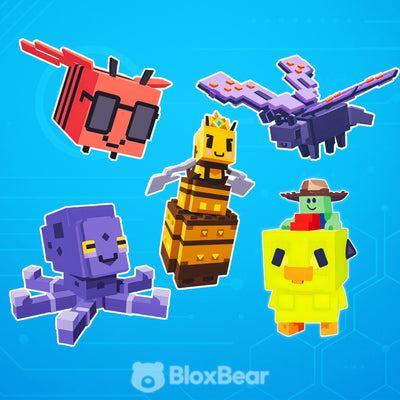 Colorful Pack