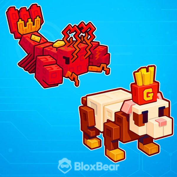 Cooking Bundle