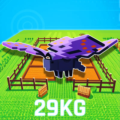 GIANT Butterfly