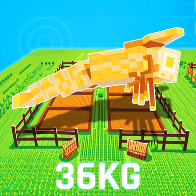 GIANT Dragonfly