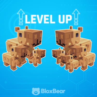 Level Up Bundle