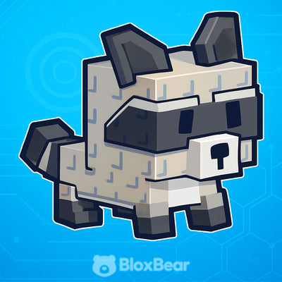 Raccoon