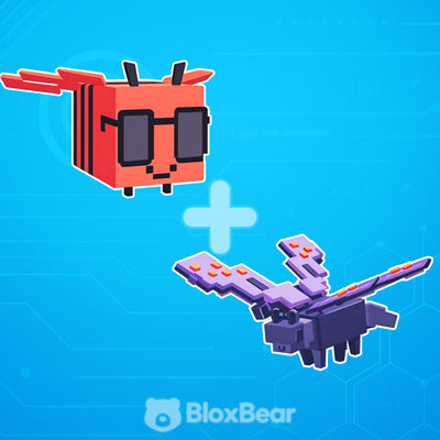 Rainbow Bundle
